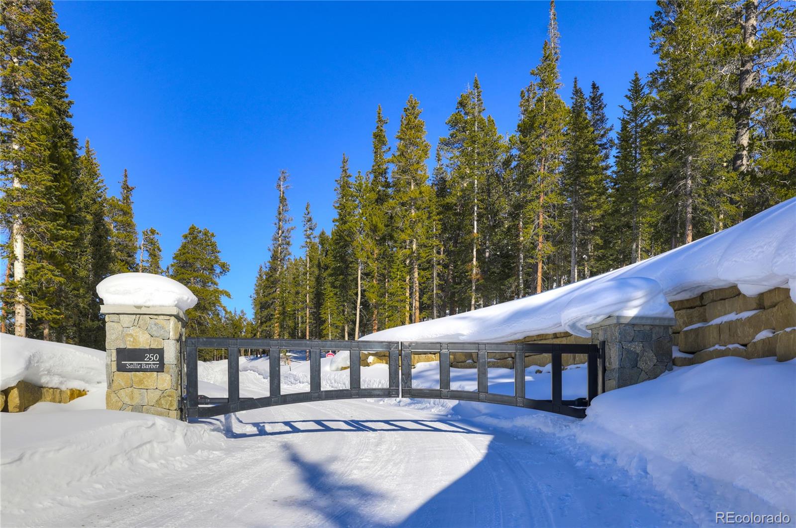 MLS Image #8 for 250  sallie barber road,breckenridge, Colorado