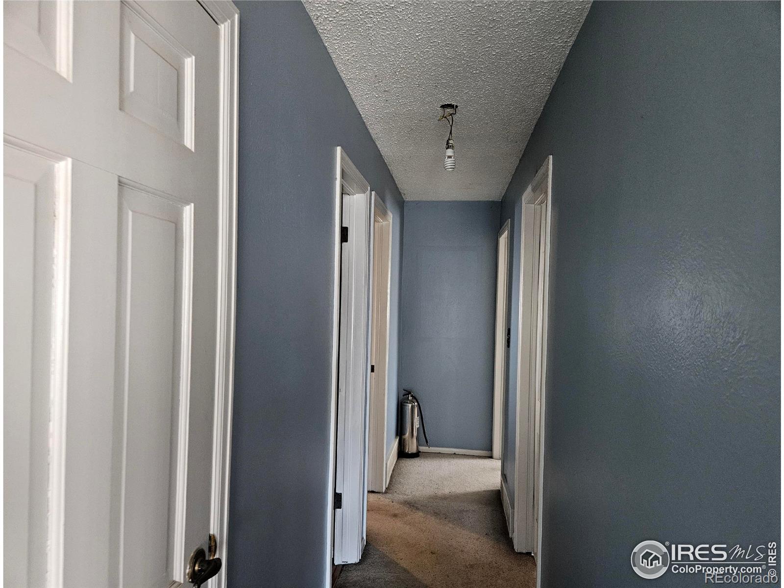 MLS Image #6 for 2141  bluebell avenue,greeley, Colorado