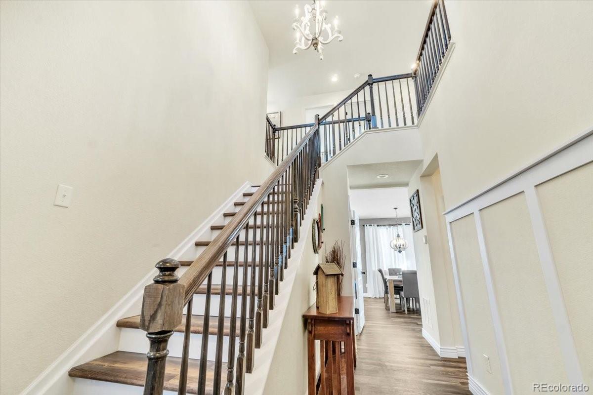 CMA Image for 2594  scoter lane,Castle Rock, Colorado