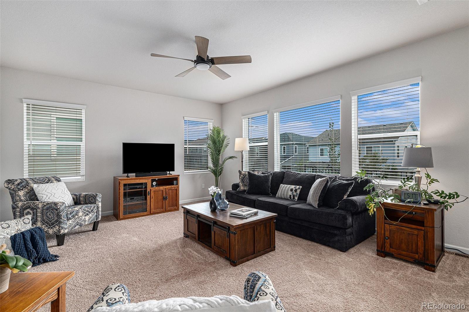 MLS Image #10 for 1168  basalt ridge loop,castle rock, Colorado