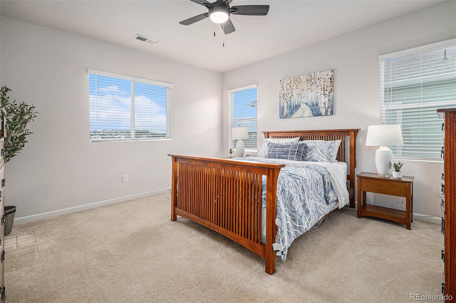 MLS Image #17 for 1168  basalt ridge loop,castle rock, Colorado