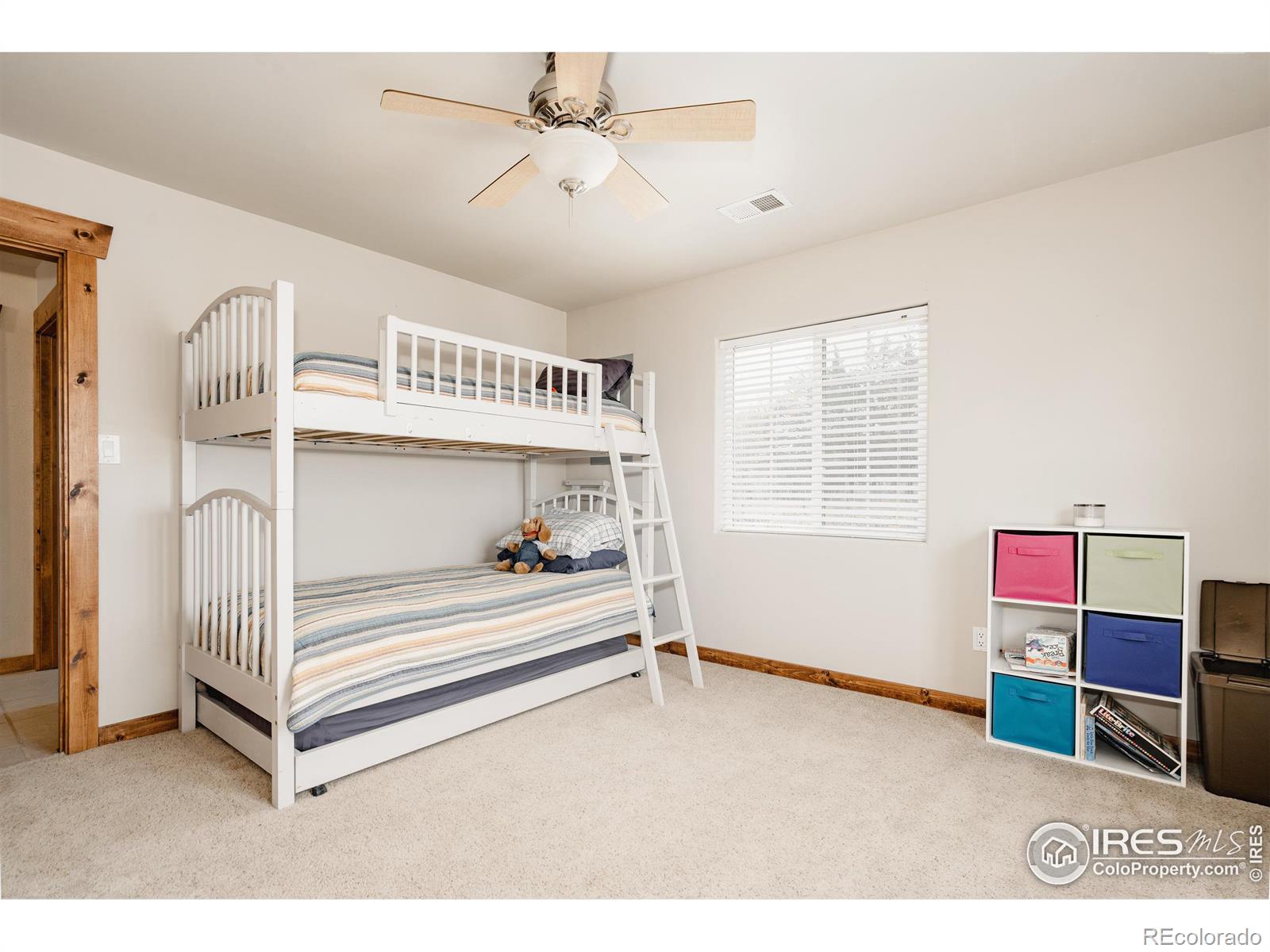 MLS Image #20 for 3711  trouble trail,fort collins, Colorado