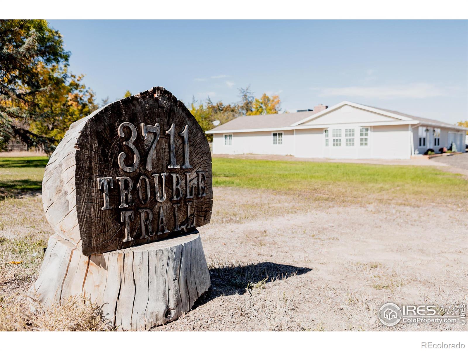 MLS Image #34 for 3711  trouble trail,fort collins, Colorado