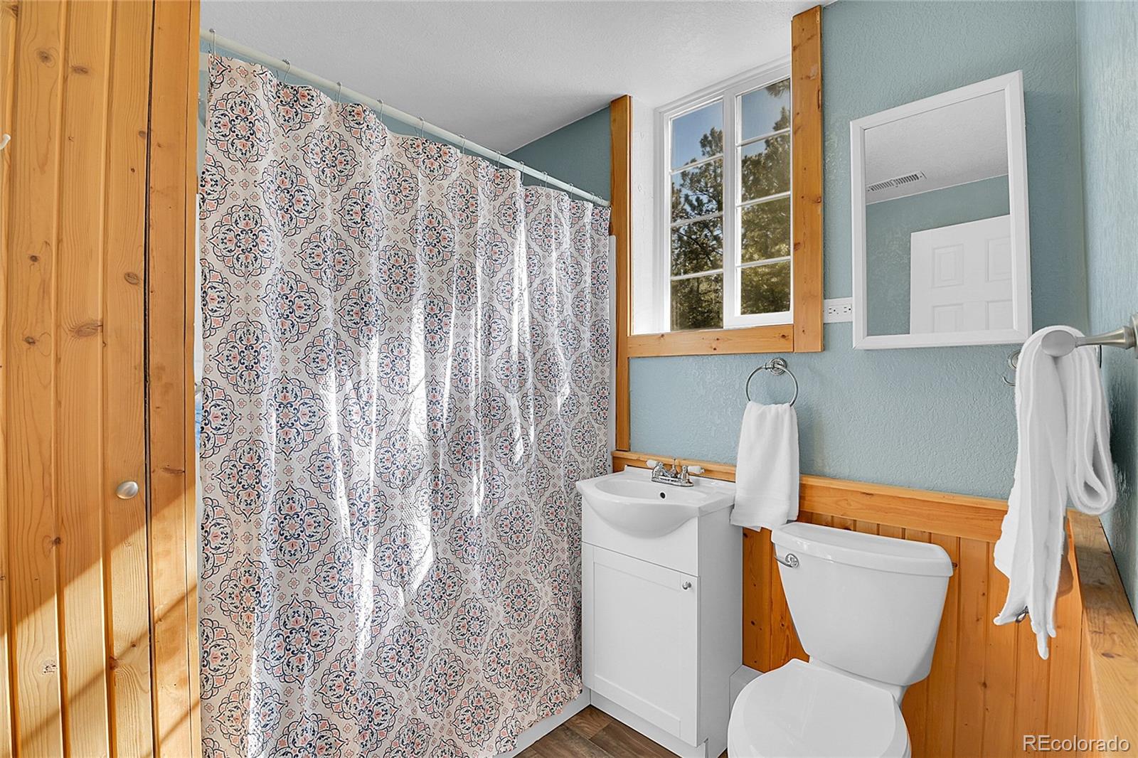 MLS Image #20 for 290  clark road,bailey, Colorado