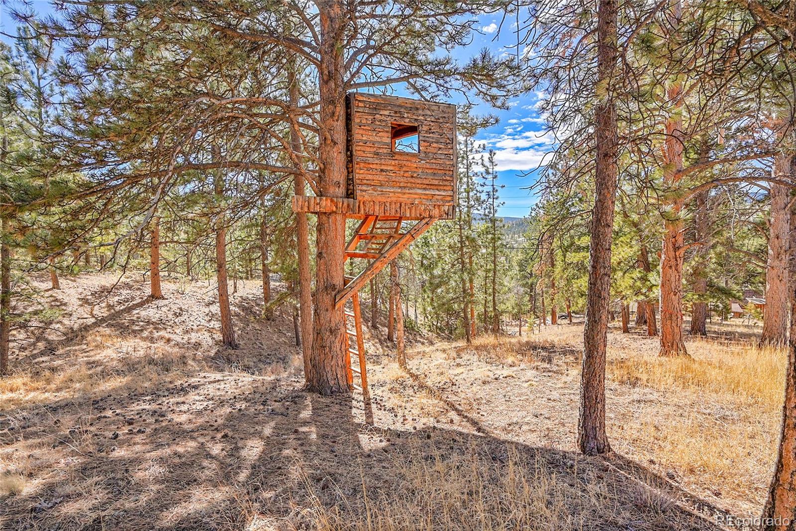 MLS Image #30 for 290  clark road,bailey, Colorado