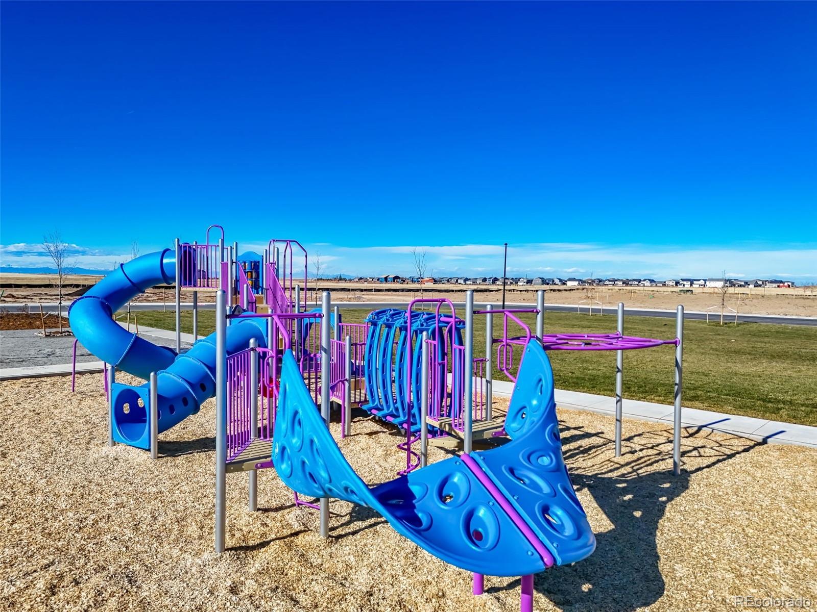 MLS Image #49 for 46537  sunflower lane,bennett, Colorado