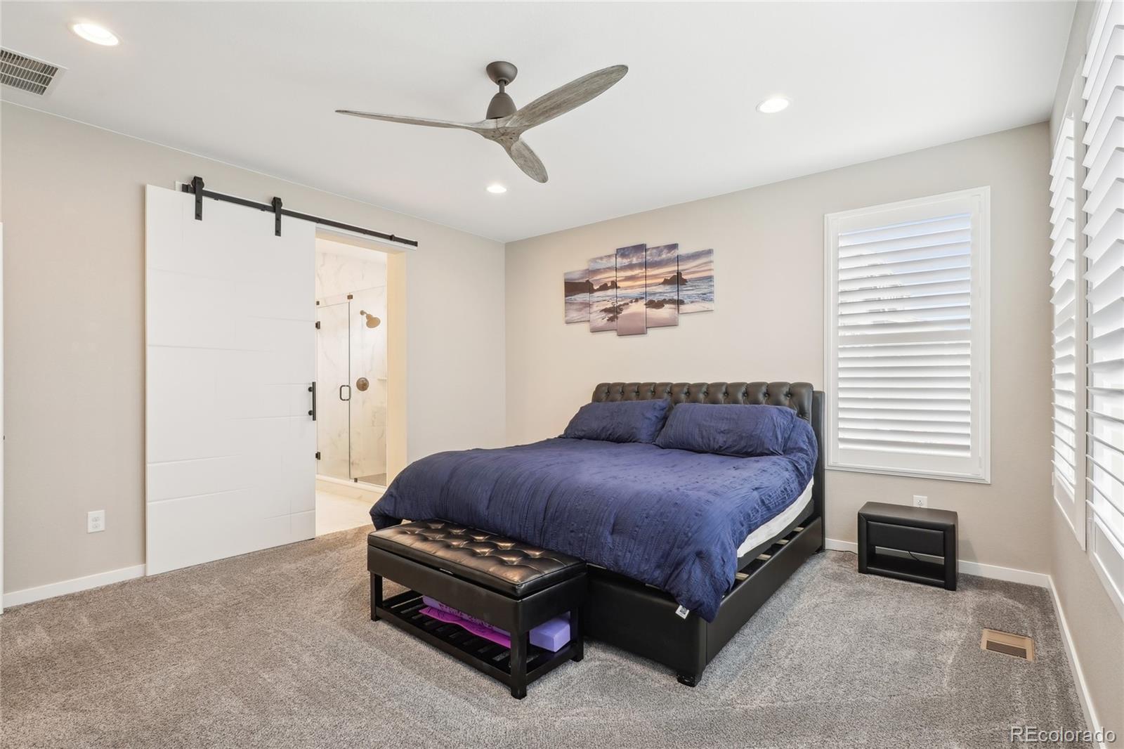 MLS Image #12 for 9162  star streak circle,littleton, Colorado