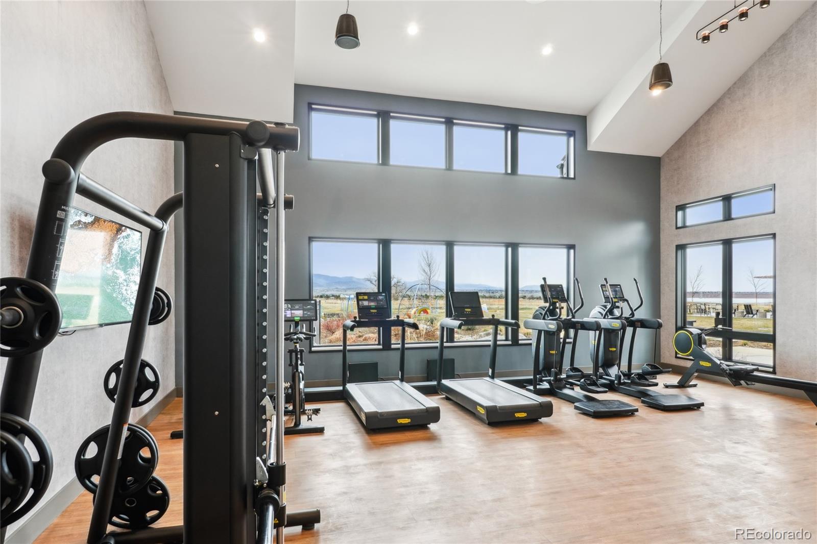 MLS Image #43 for 9162  star streak circle,littleton, Colorado