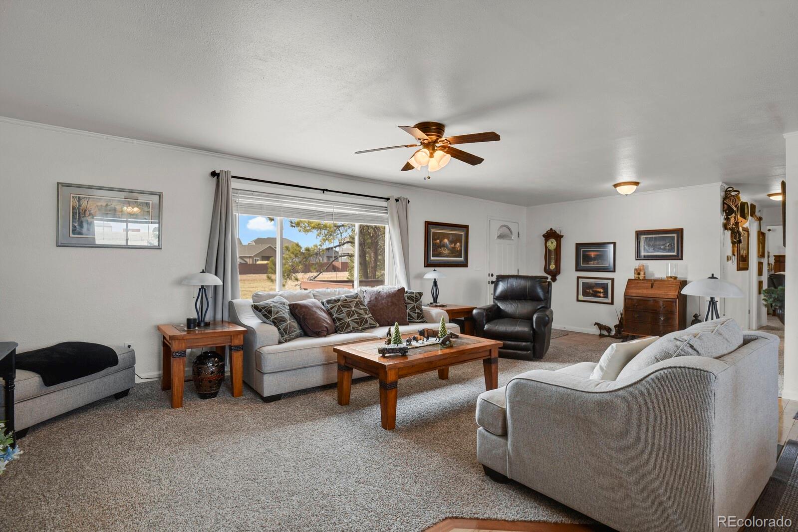 MLS Image #7 for 8185  mustang road,colorado springs, Colorado