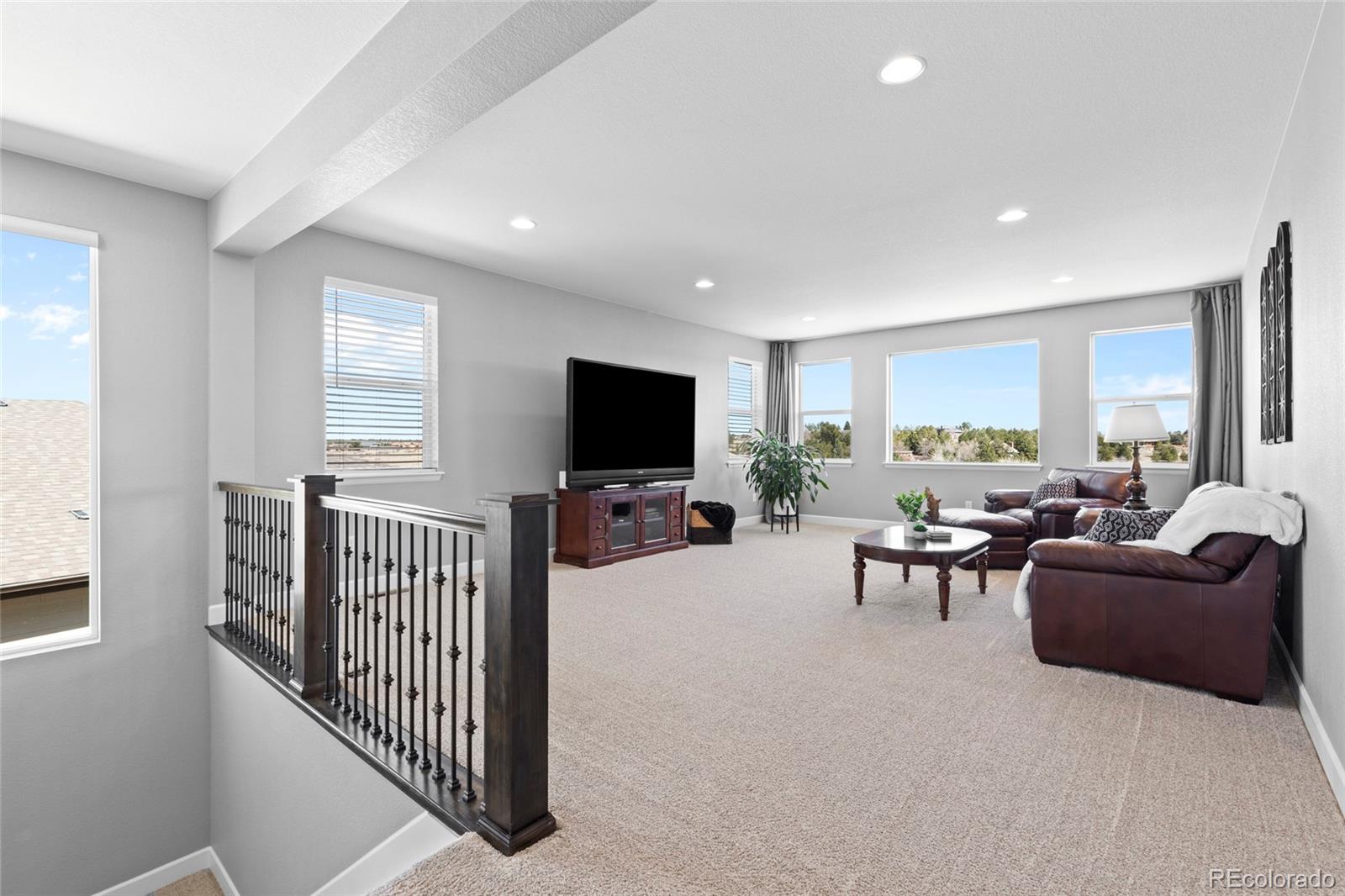 MLS Image #23 for 7938 s jackson gap street,aurora, Colorado