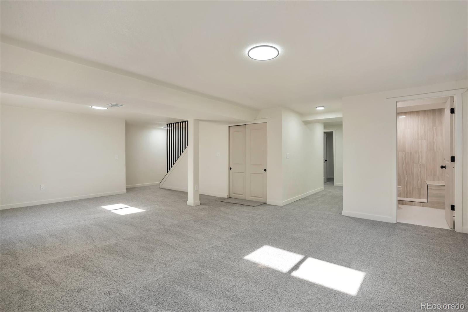 MLS Image #15 for 4582 n fontana way,denver, Colorado
