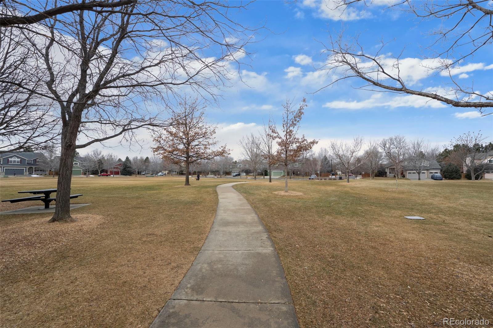 MLS Image #24 for 1668  holeman drive,erie, Colorado