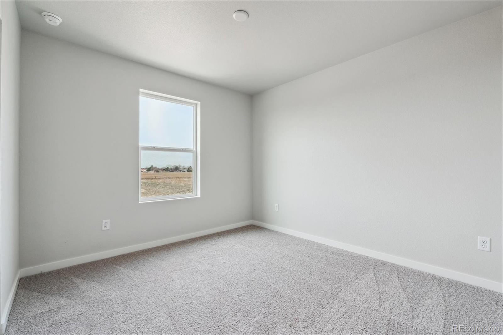 MLS Image #24 for 2237  flower blossom avenue,brighton, Colorado