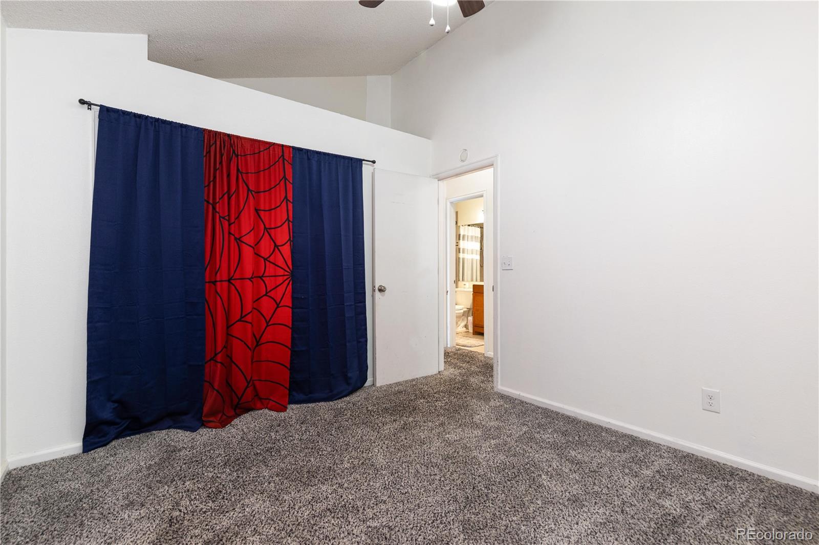 MLS Image #22 for 4334  lisbon street,denver, Colorado