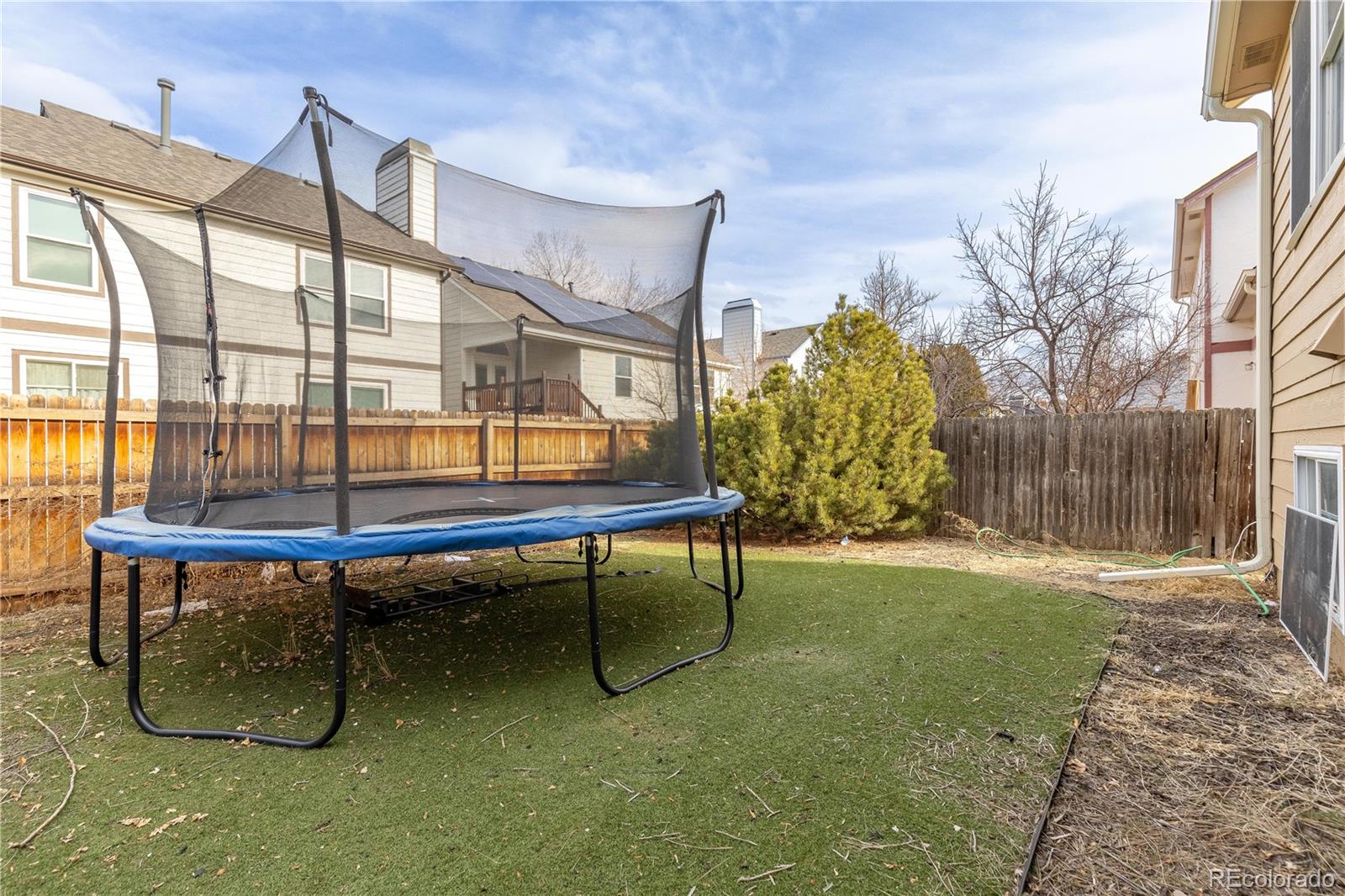 MLS Image #34 for 4334  lisbon street,denver, Colorado