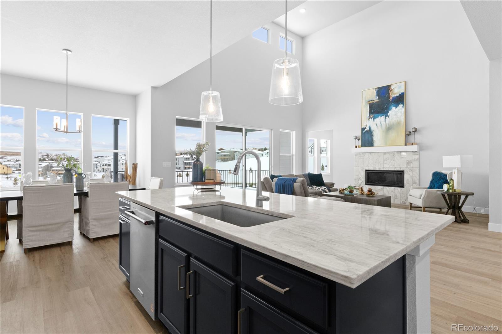 MLS Image #8 for 1060  coal bank trail,castle rock, Colorado