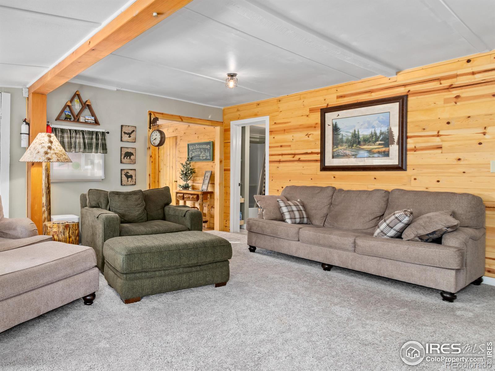 MLS Image #10 for 2321  bellevue drive,estes park, Colorado