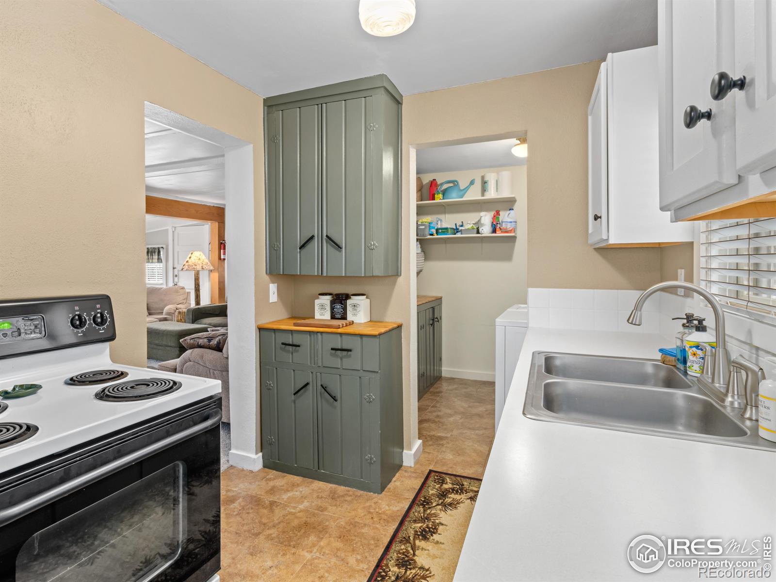 MLS Image #11 for 2321  bellevue drive,estes park, Colorado