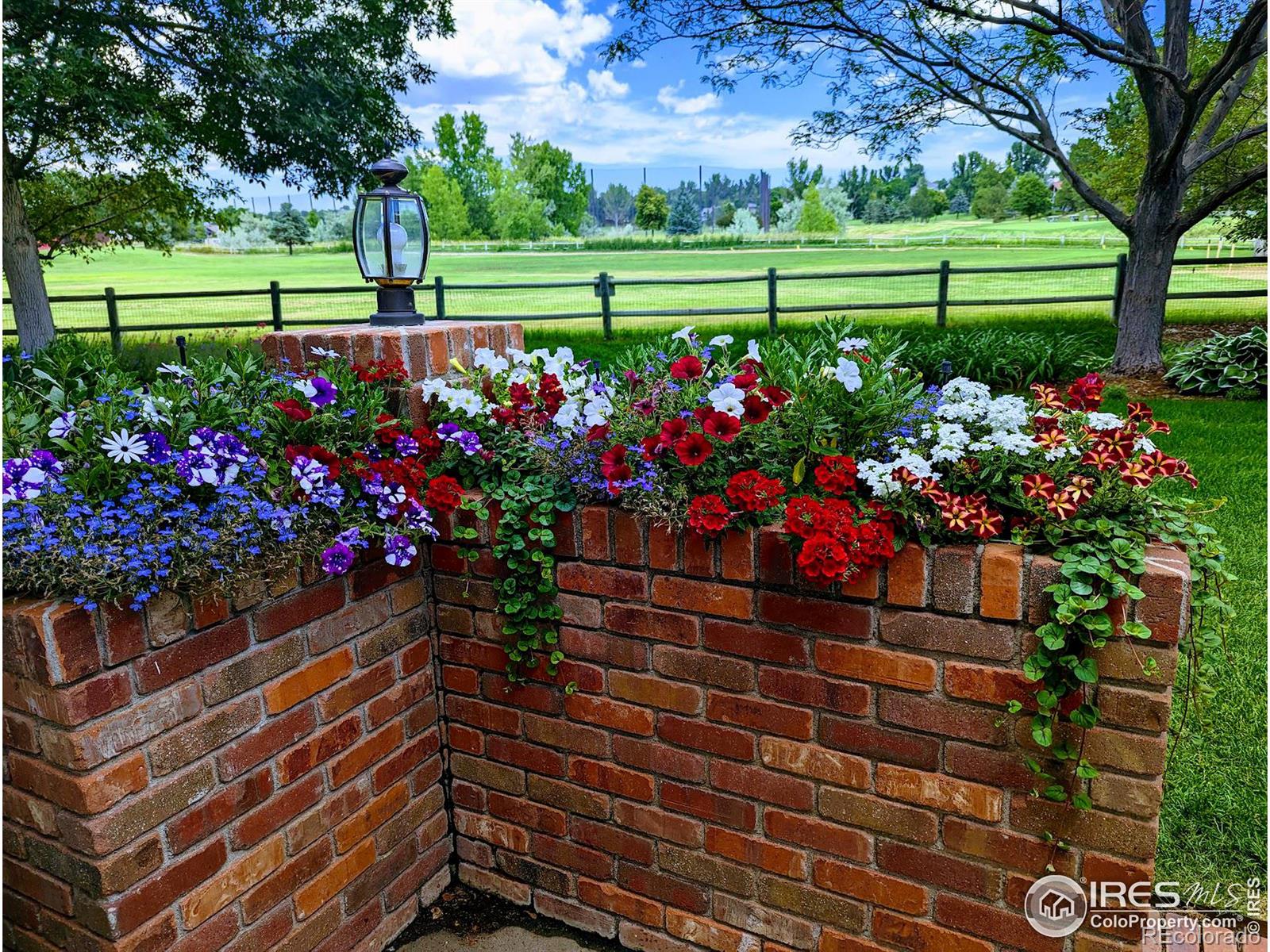 MLS Image #28 for 1318  paragon place,fort collins, Colorado
