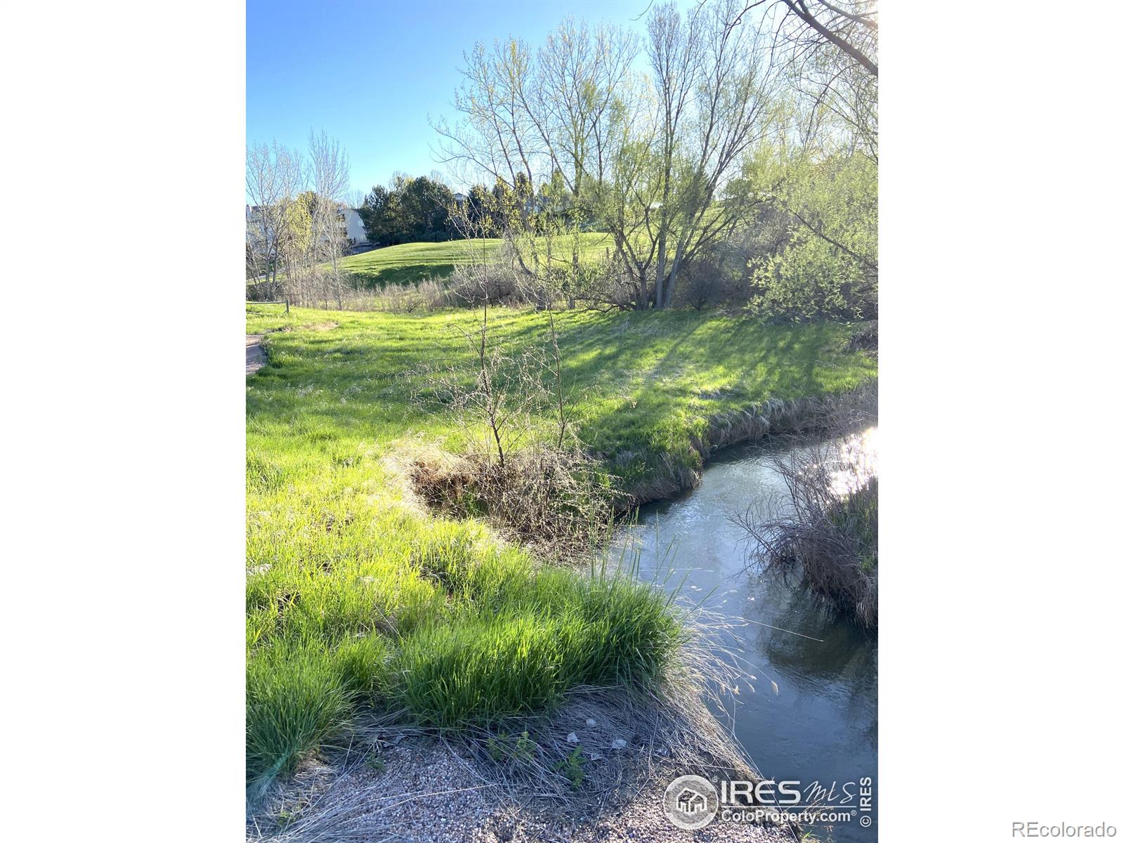 MLS Image #34 for 1318  paragon place,fort collins, Colorado