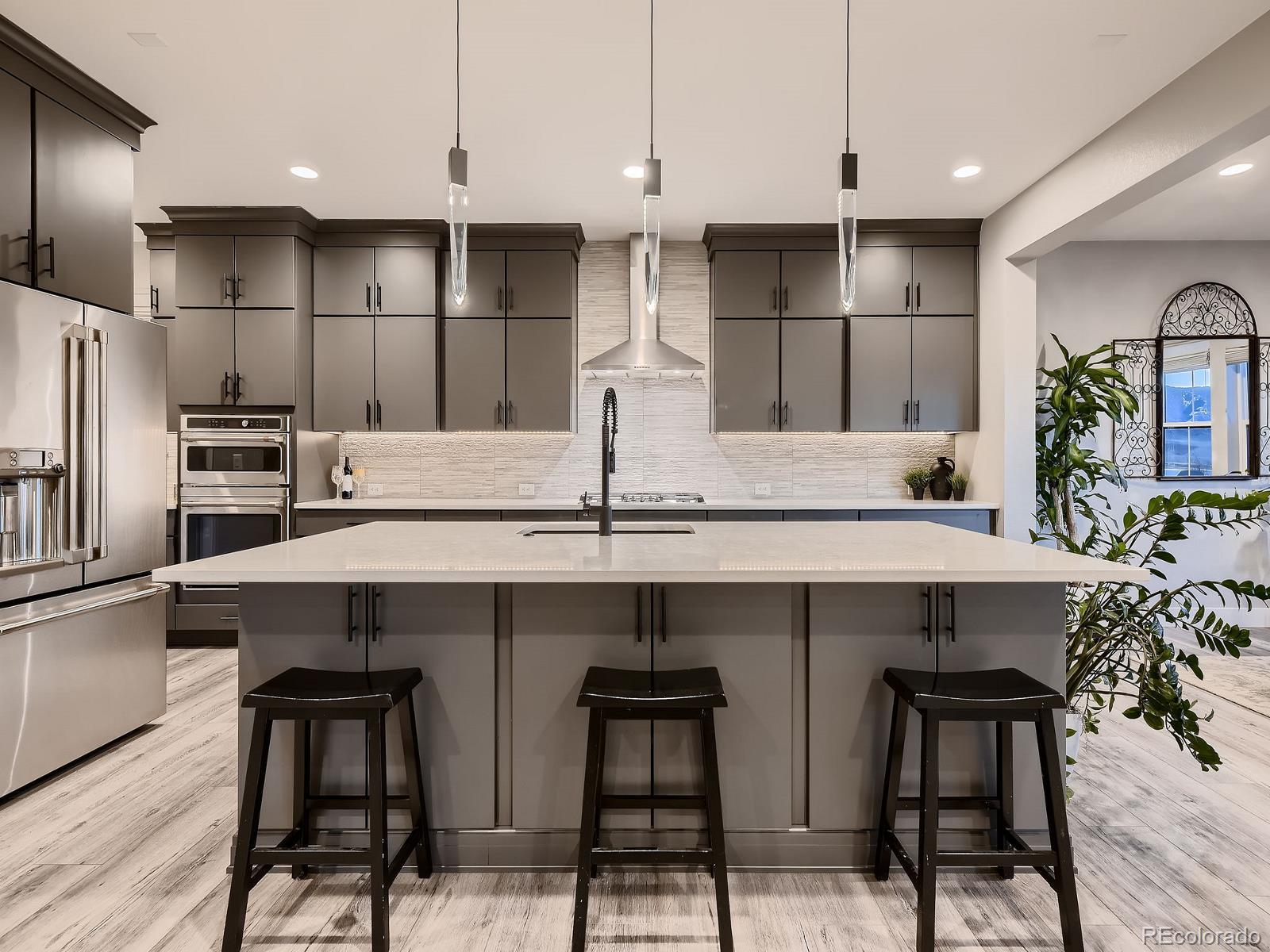 MLS Image #3 for 9245  star streak circle,littleton, Colorado
