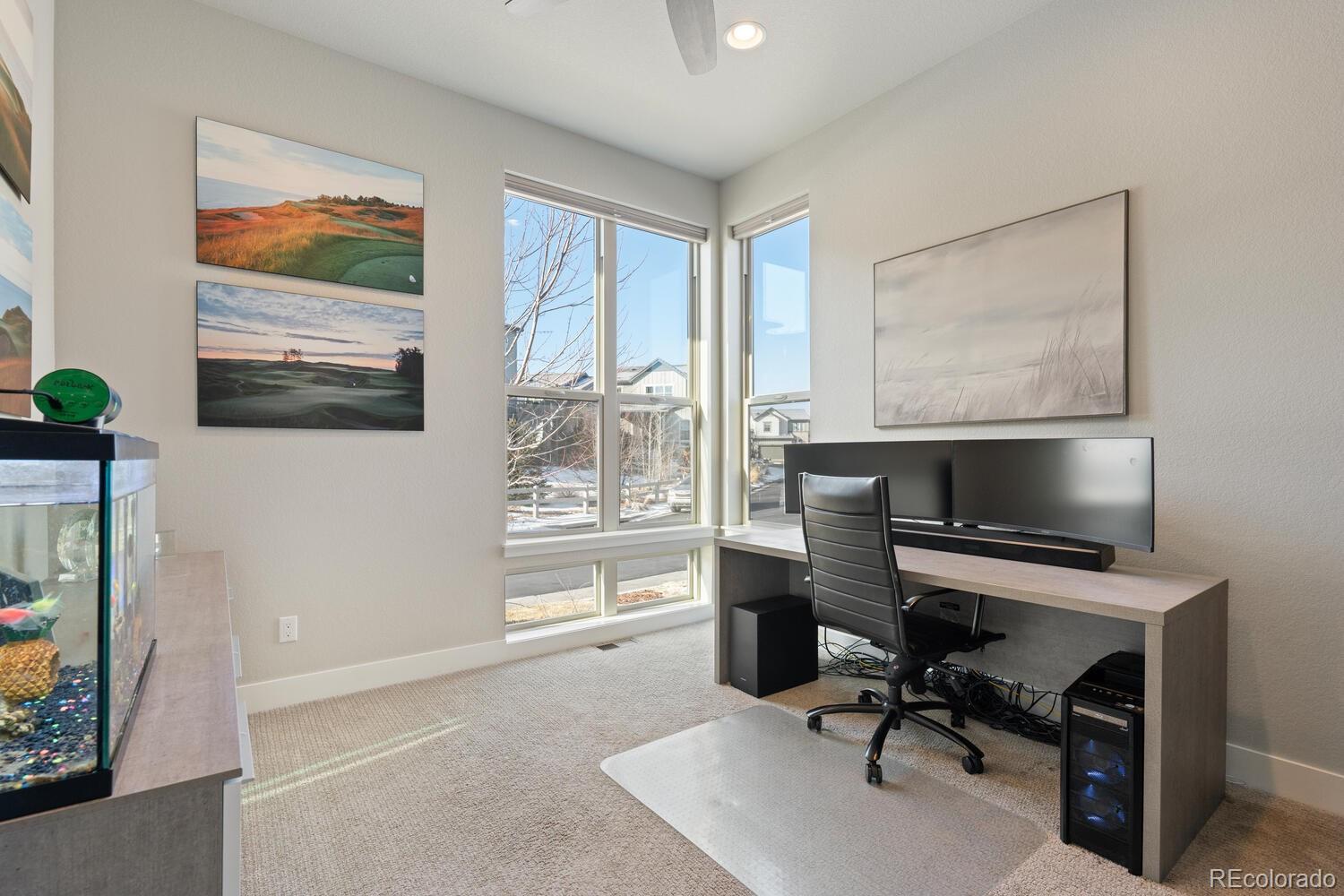 MLS Image #11 for 507  red thistle drive,highlands ranch, Colorado