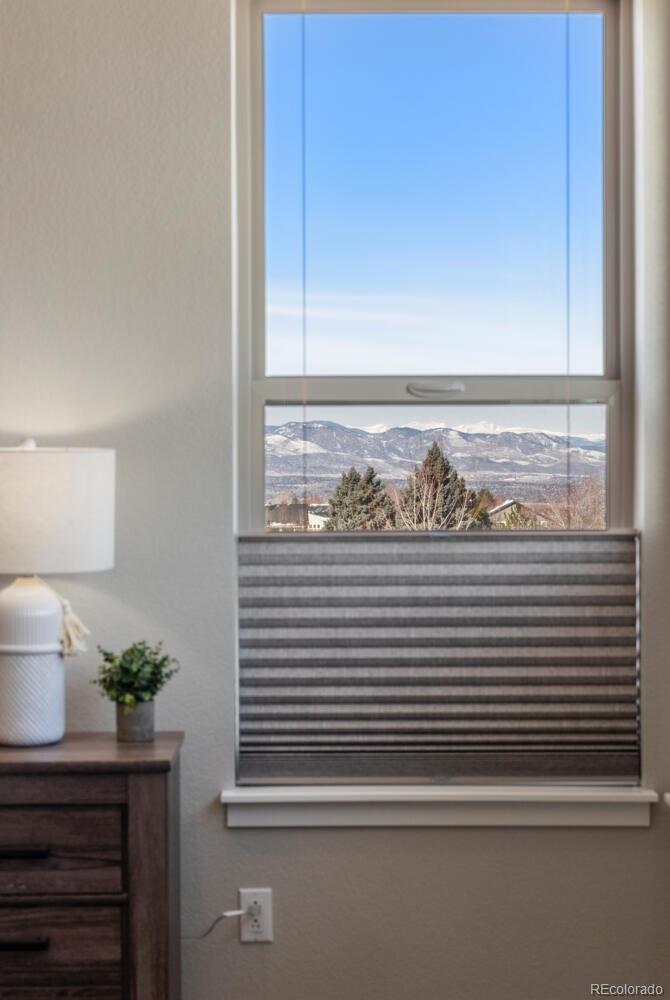 MLS Image #16 for 507  red thistle drive,highlands ranch, Colorado