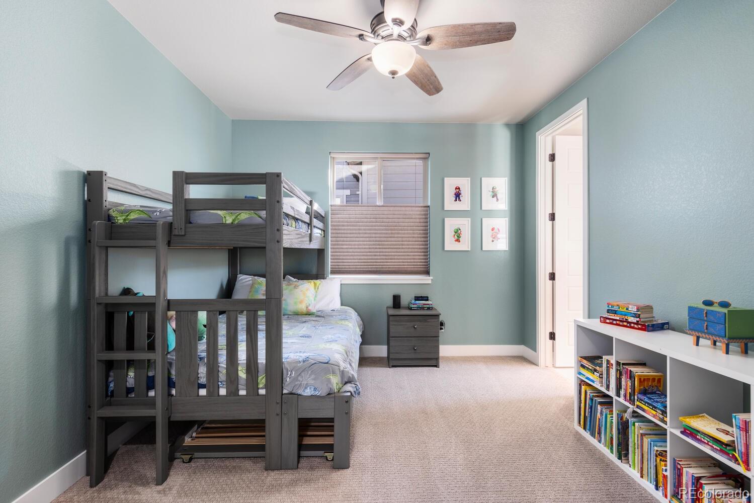 MLS Image #21 for 507  red thistle drive,highlands ranch, Colorado