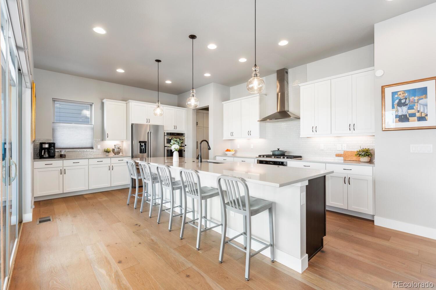 MLS Image #7 for 507  red thistle drive,highlands ranch, Colorado