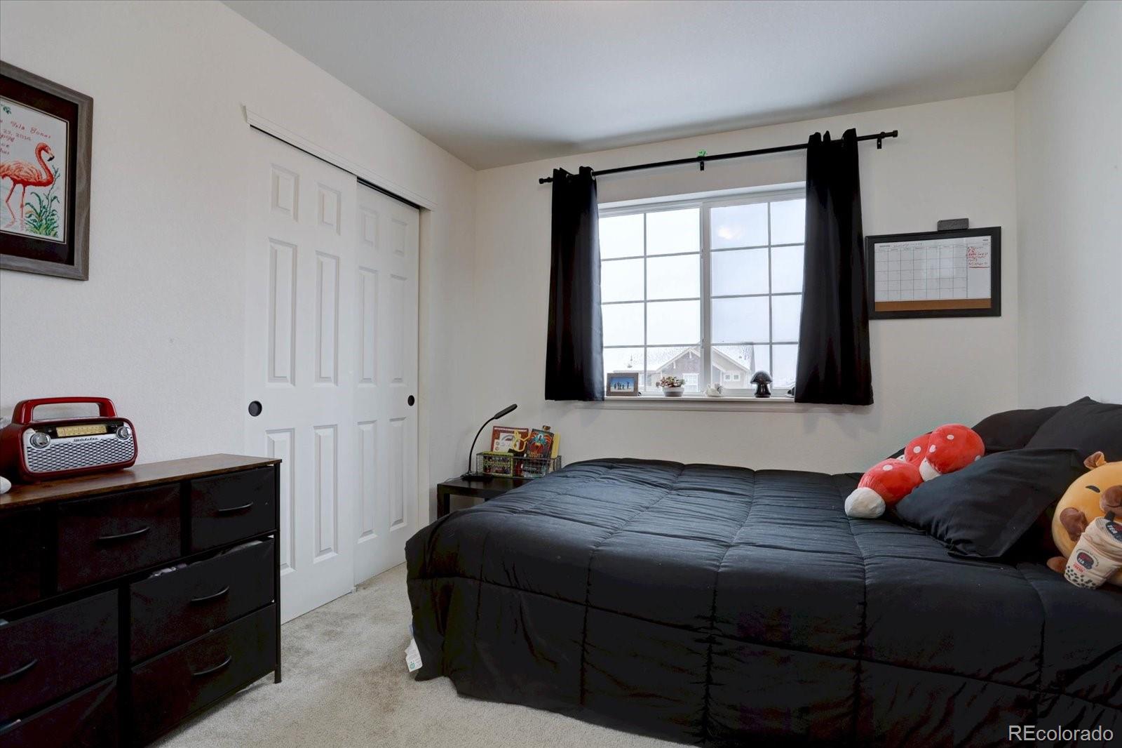 MLS Image #21 for 1048  larkspur drive,erie, Colorado