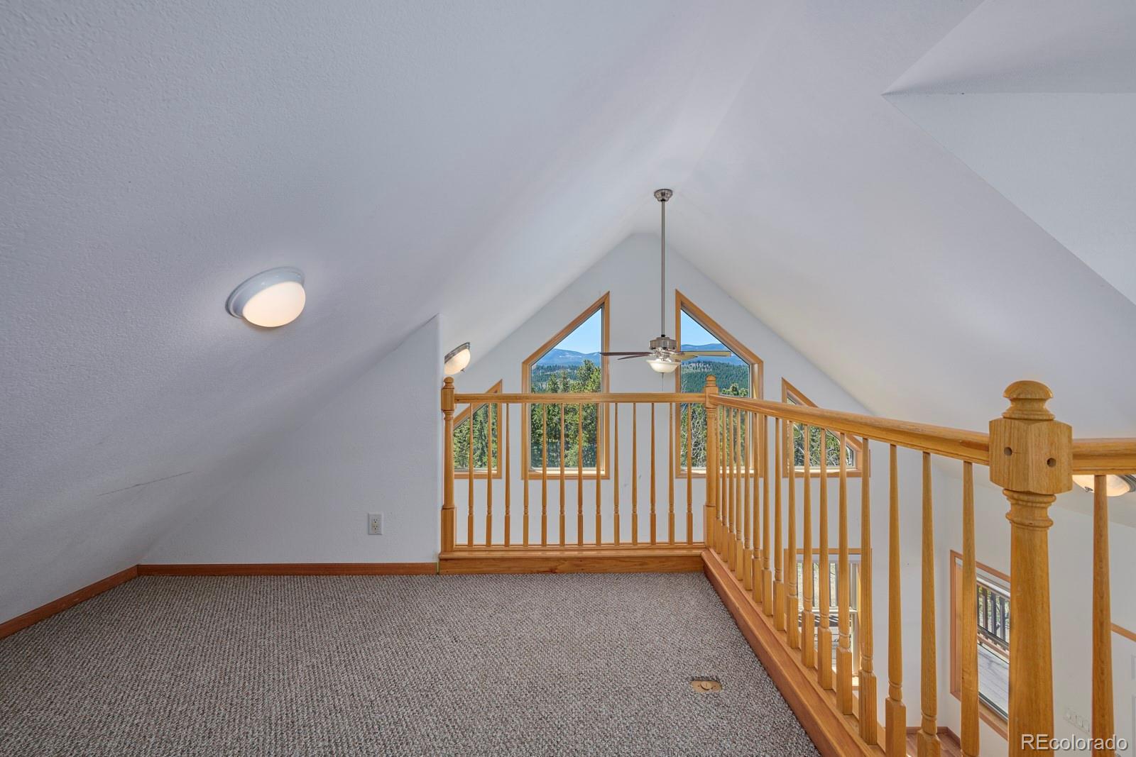 MLS Image #13 for 11863  magnolia drive,nederland, Colorado