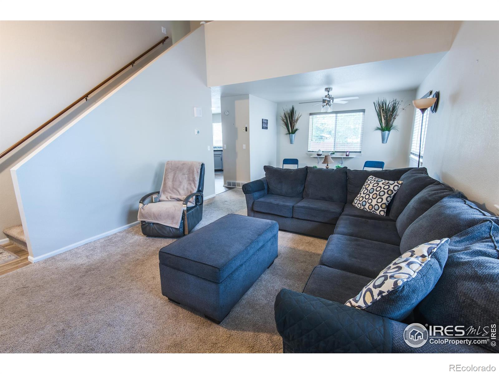 MLS Image #11 for 1117  lavender avenue,loveland, Colorado