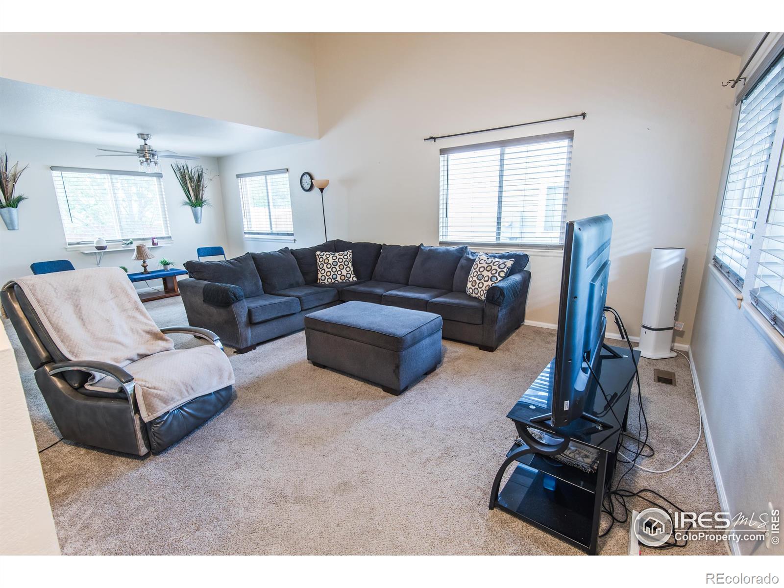 MLS Image #13 for 1117  lavender avenue,loveland, Colorado