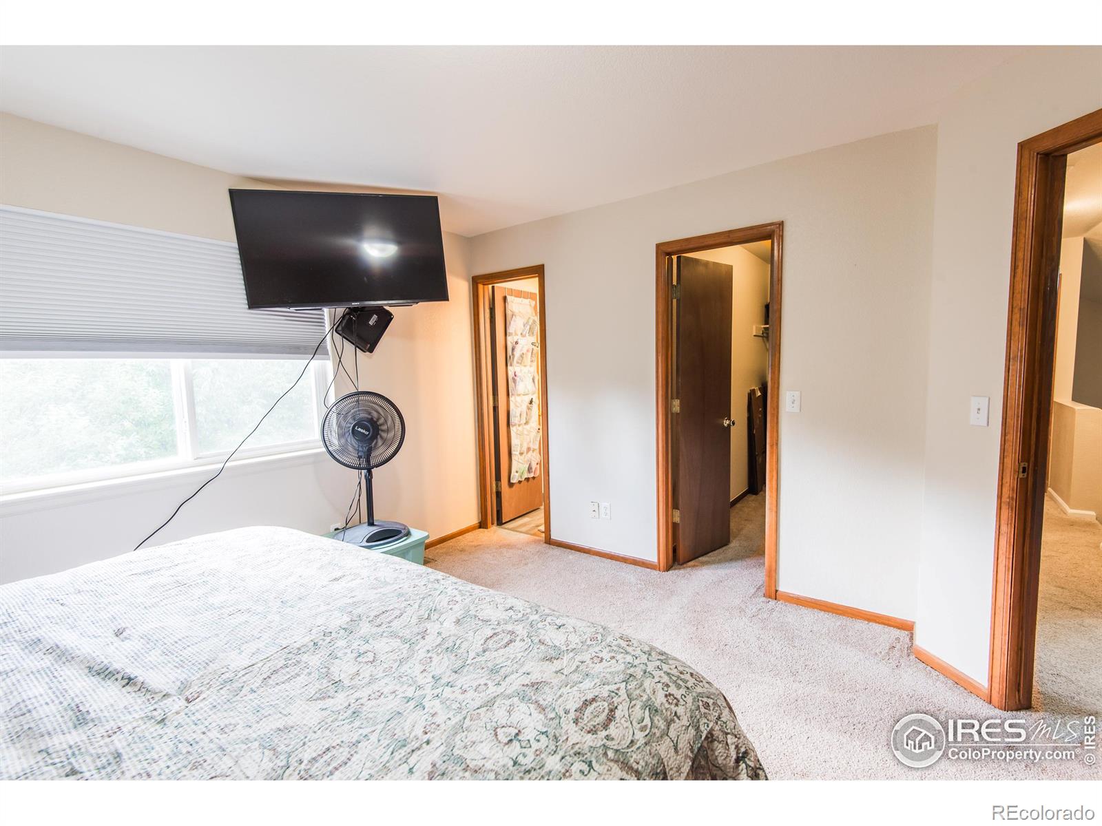 MLS Image #26 for 1117  lavender avenue,loveland, Colorado
