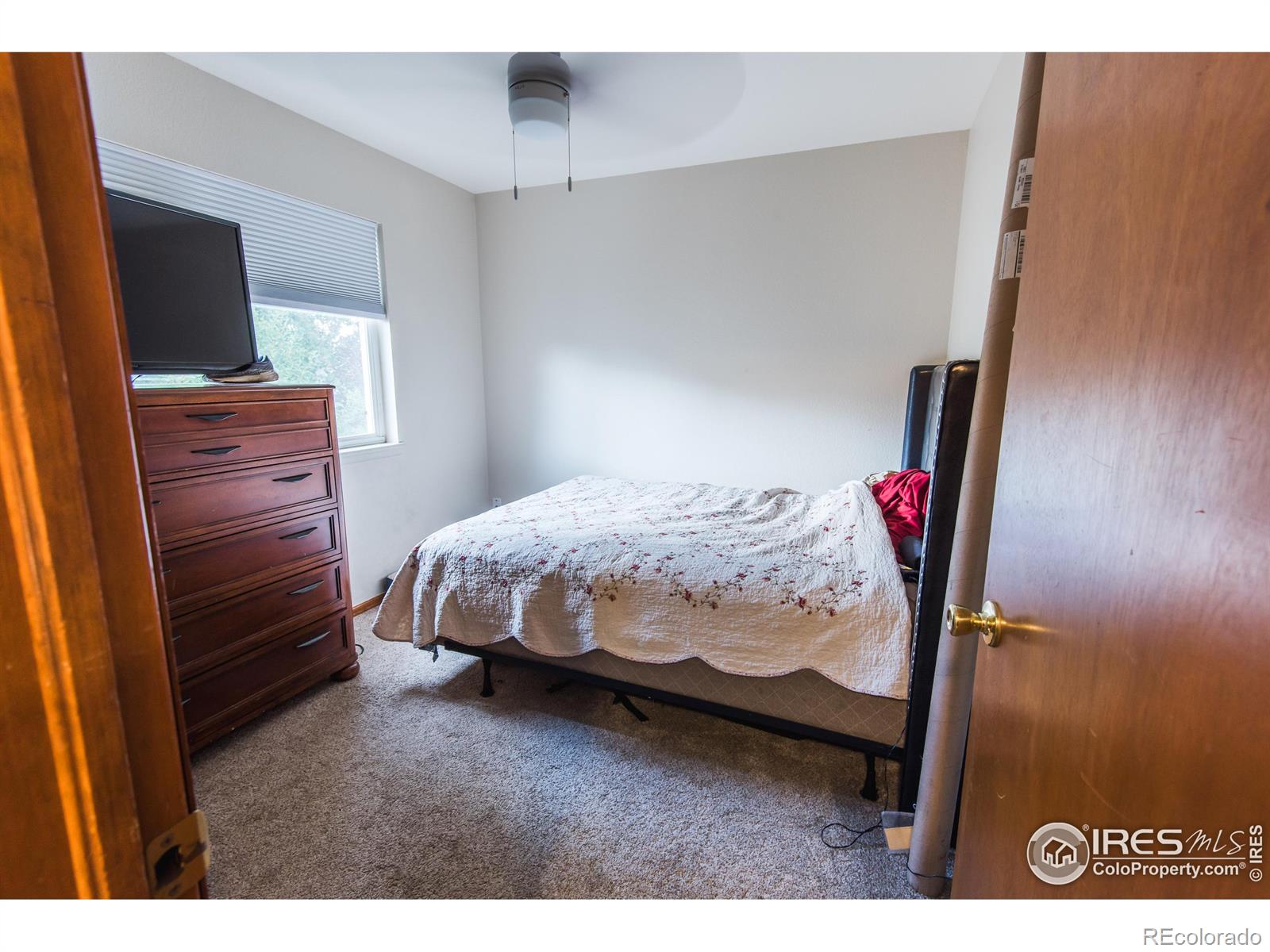 MLS Image #29 for 1117  lavender avenue,loveland, Colorado