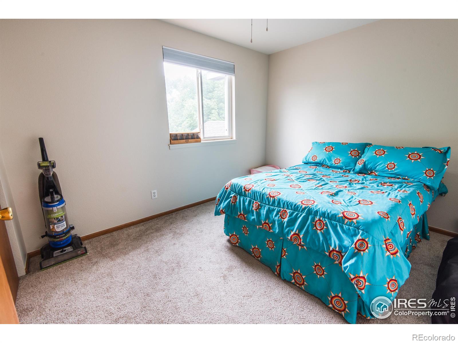 MLS Image #32 for 1117  lavender avenue,loveland, Colorado