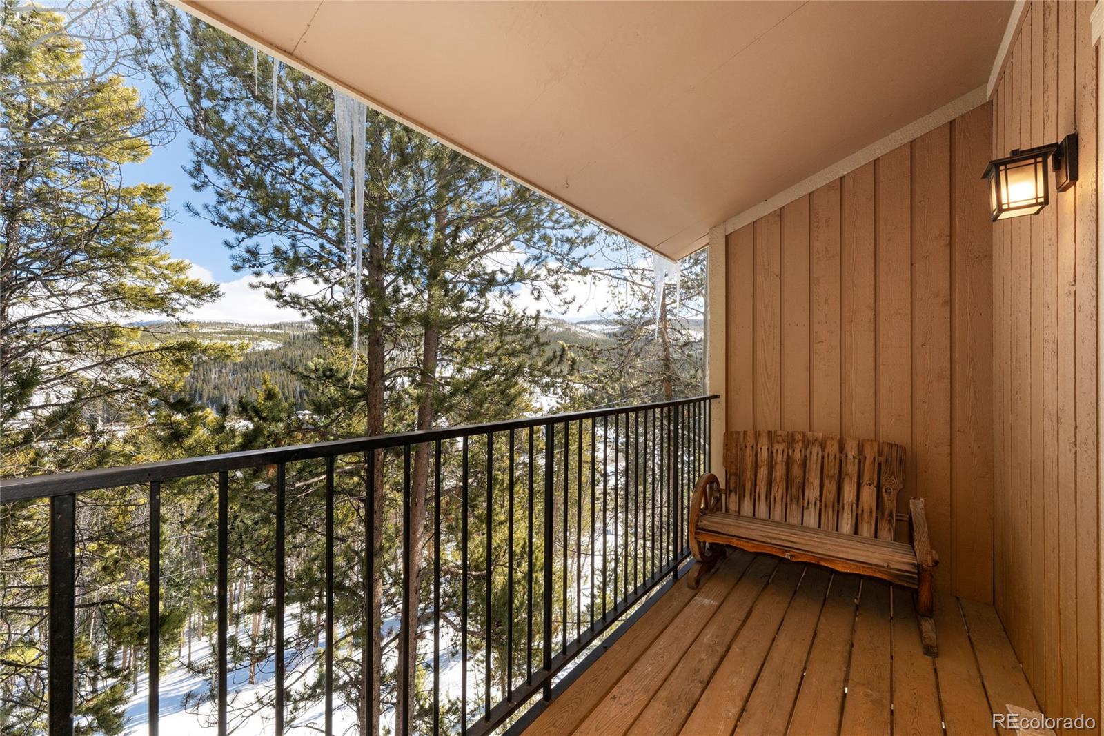 MLS Image #10 for 216  gcr 702/village drive,winter park, Colorado