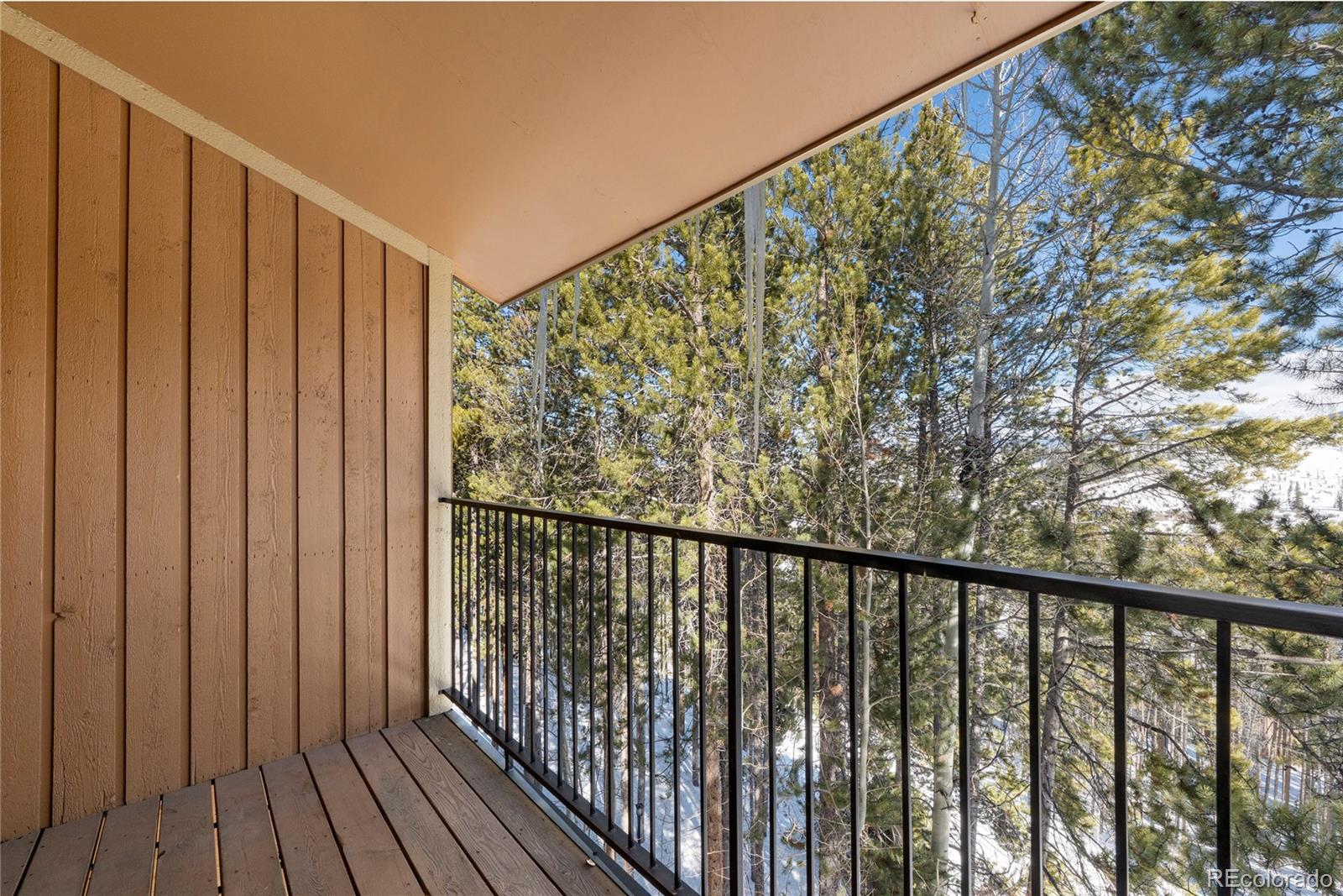 MLS Image #11 for 216  gcr 702/village drive,winter park, Colorado