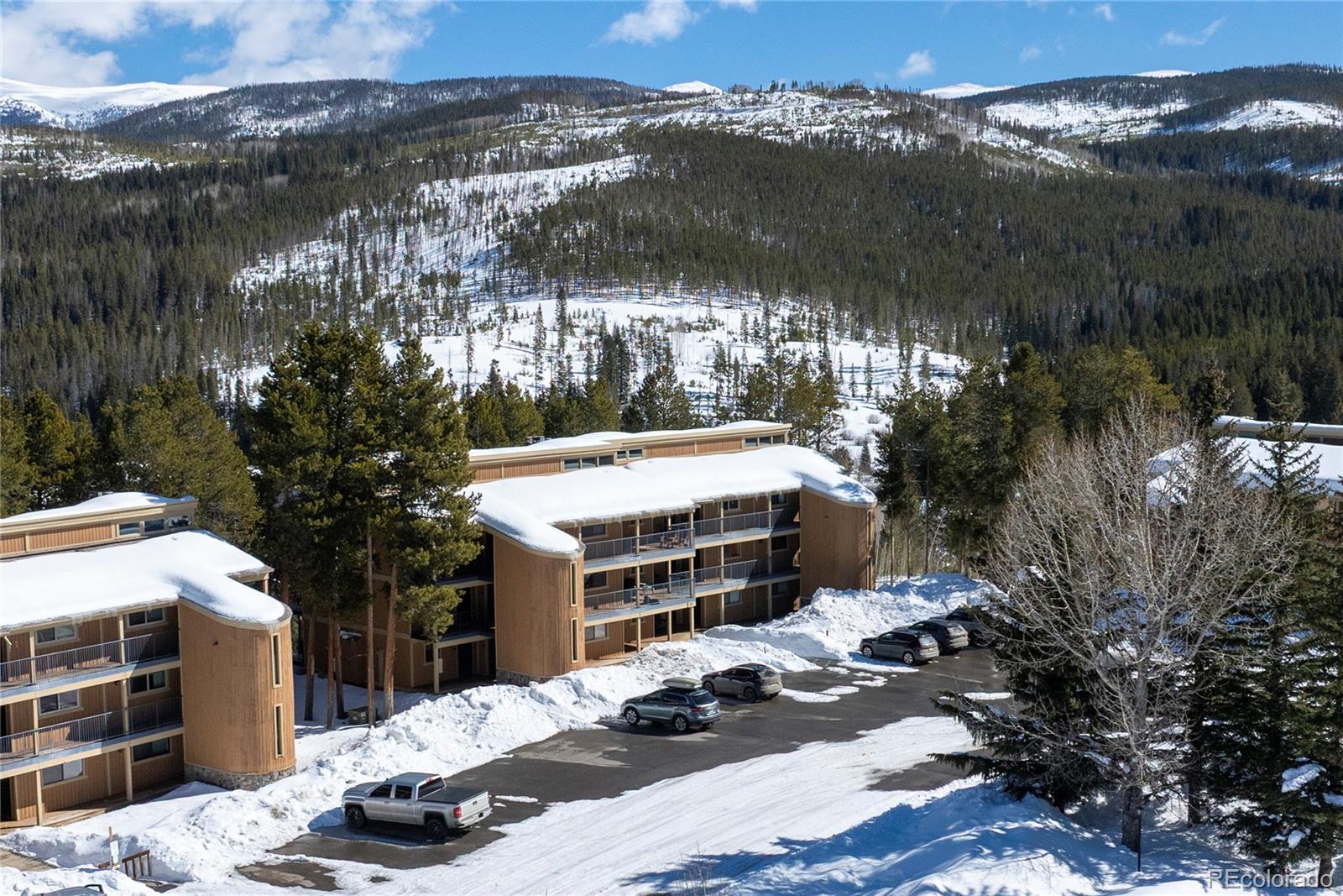 MLS Image #24 for 216  gcr 702/village drive,winter park, Colorado