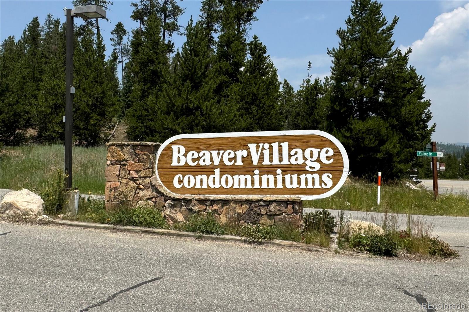 MLS Image #28 for 216  gcr 702/village drive,winter park, Colorado