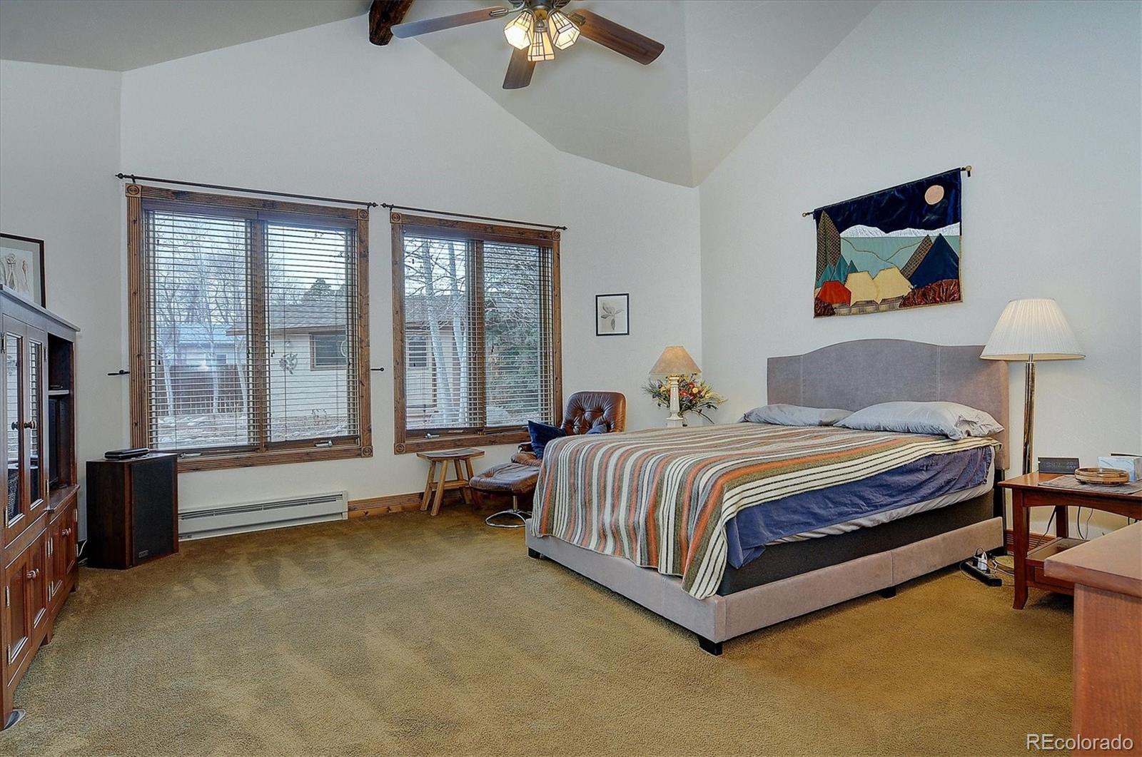 MLS Image #24 for 130 s sangre de cristo avenue,buena vista, Colorado