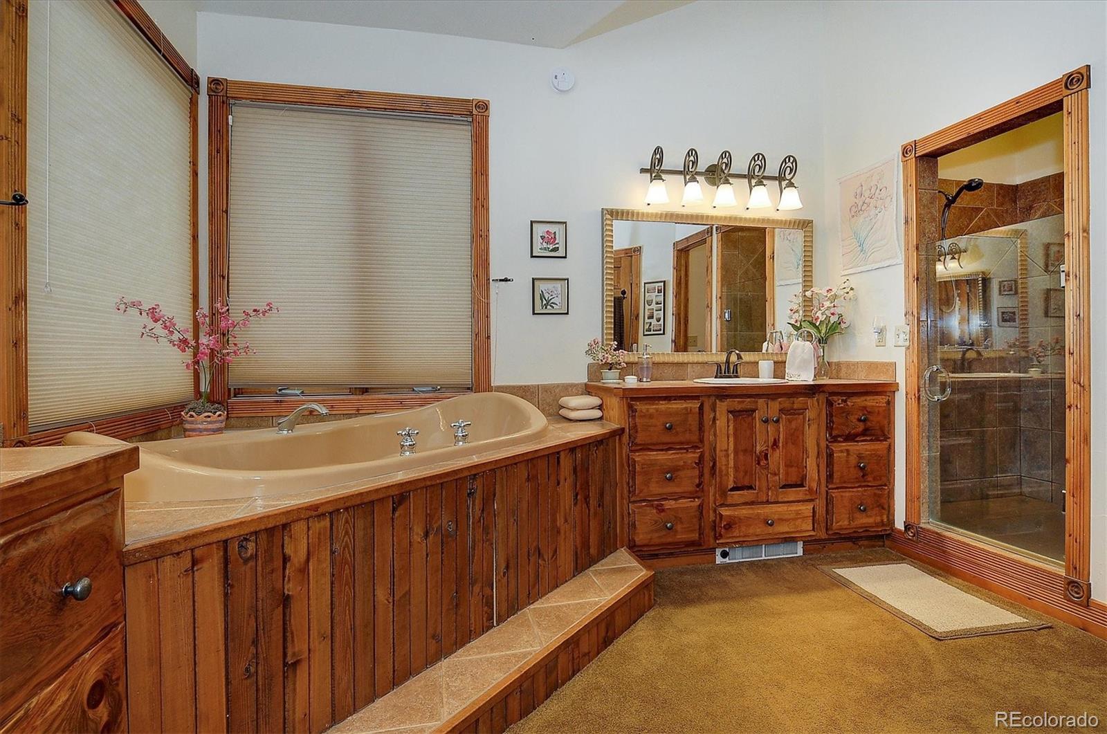 MLS Image #28 for 130 s sangre de cristo avenue,buena vista, Colorado