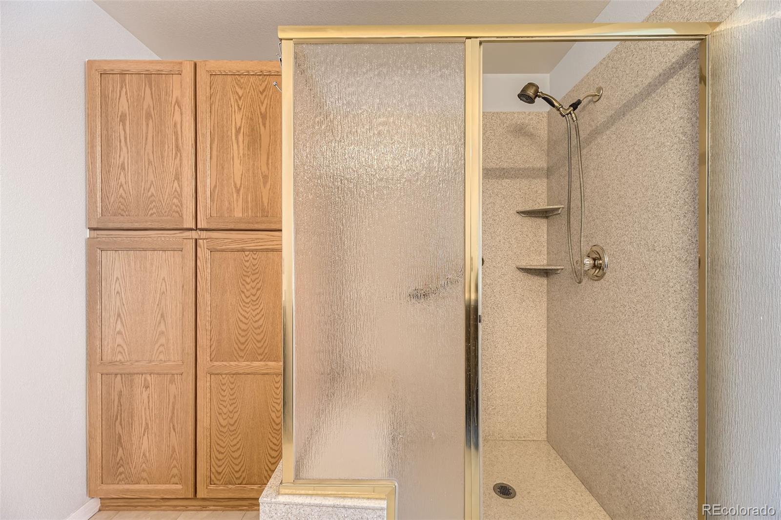 MLS Image #22 for 2444 s scranton way,aurora, Colorado