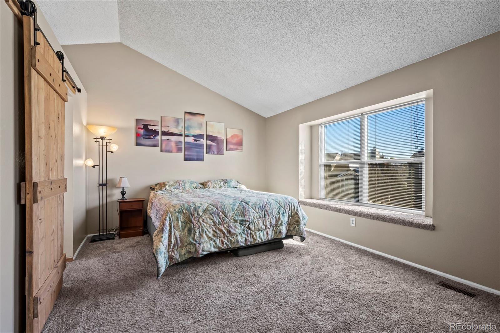 MLS Image #19 for 10407  strasburg way,parker, Colorado