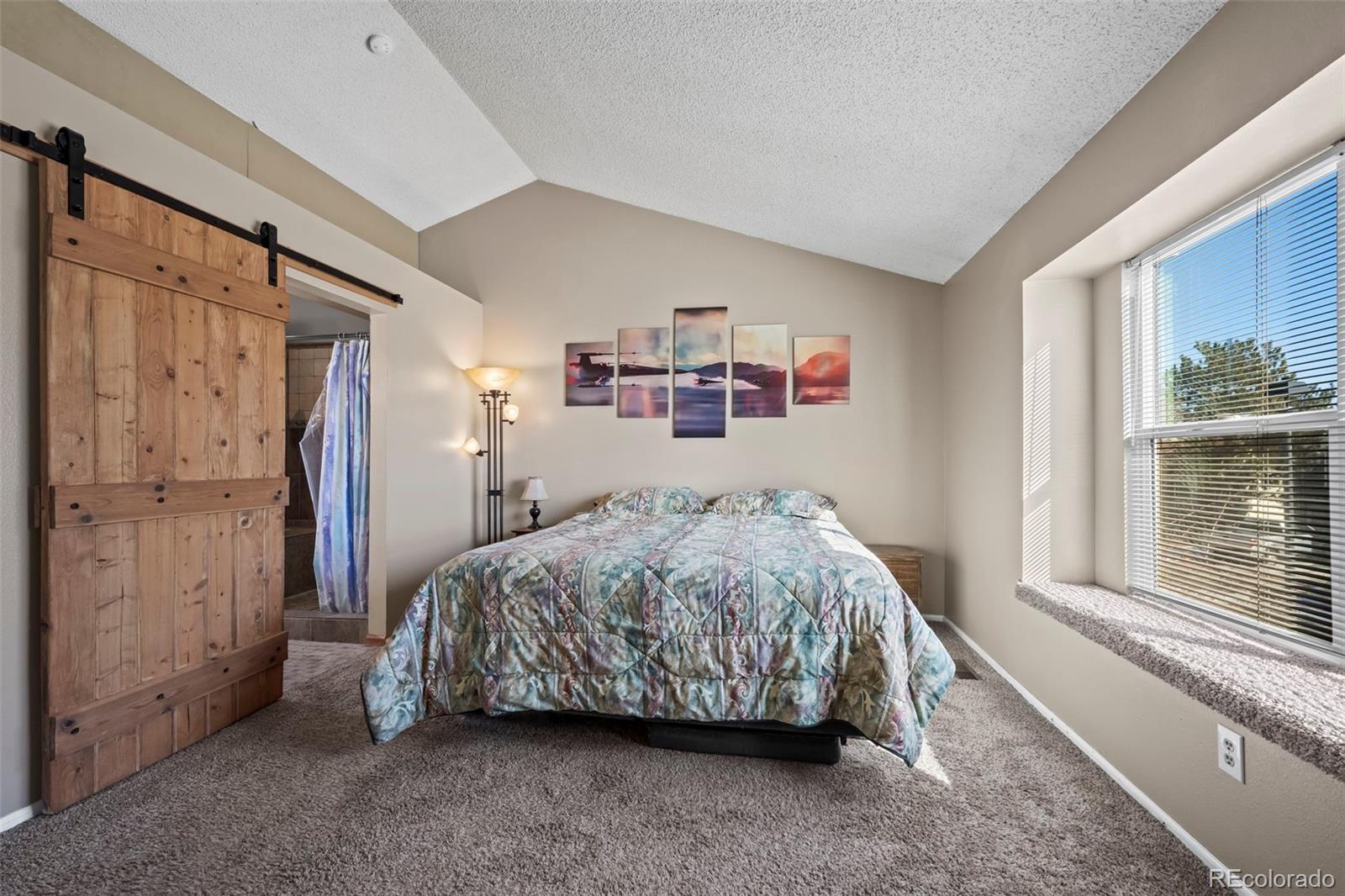 MLS Image #20 for 10407  strasburg way,parker, Colorado