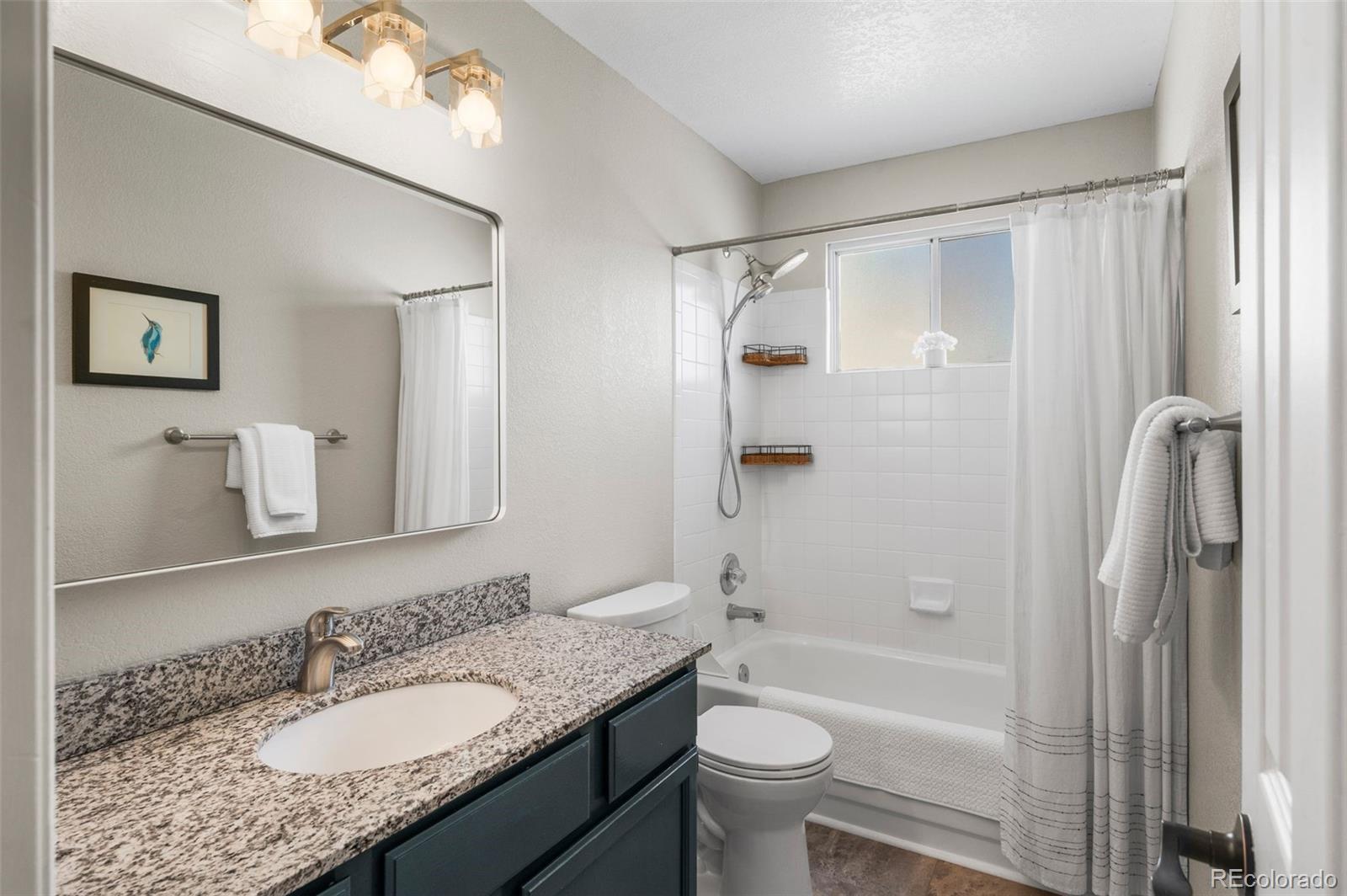 MLS Image #20 for 9742  burntwood court,highlands ranch, Colorado