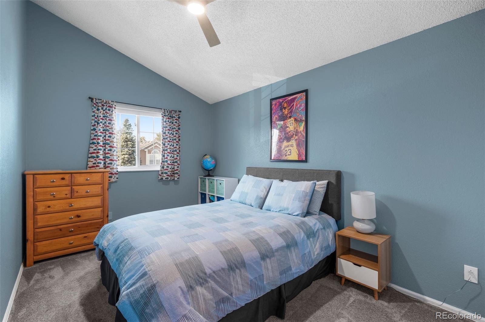 MLS Image #21 for 9742  burntwood court,highlands ranch, Colorado