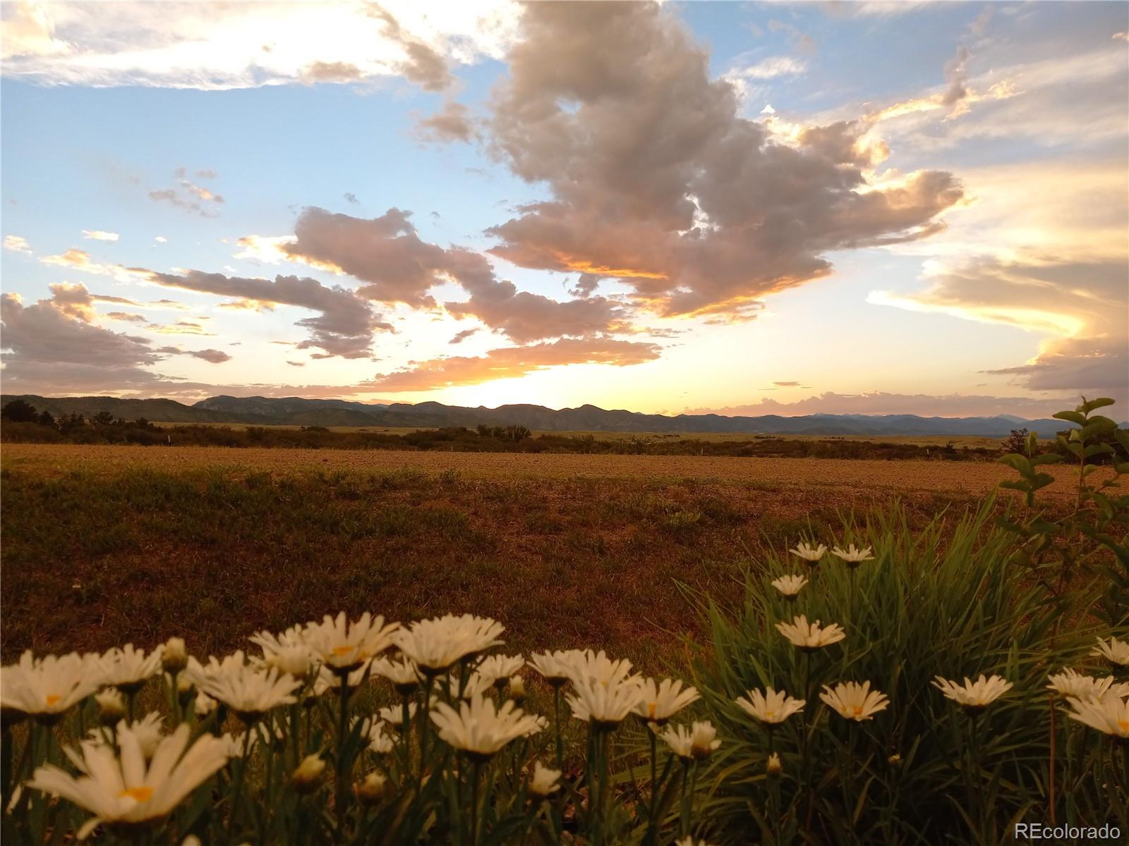 MLS Image #4 for 5774  sioux drive,sedalia, Colorado
