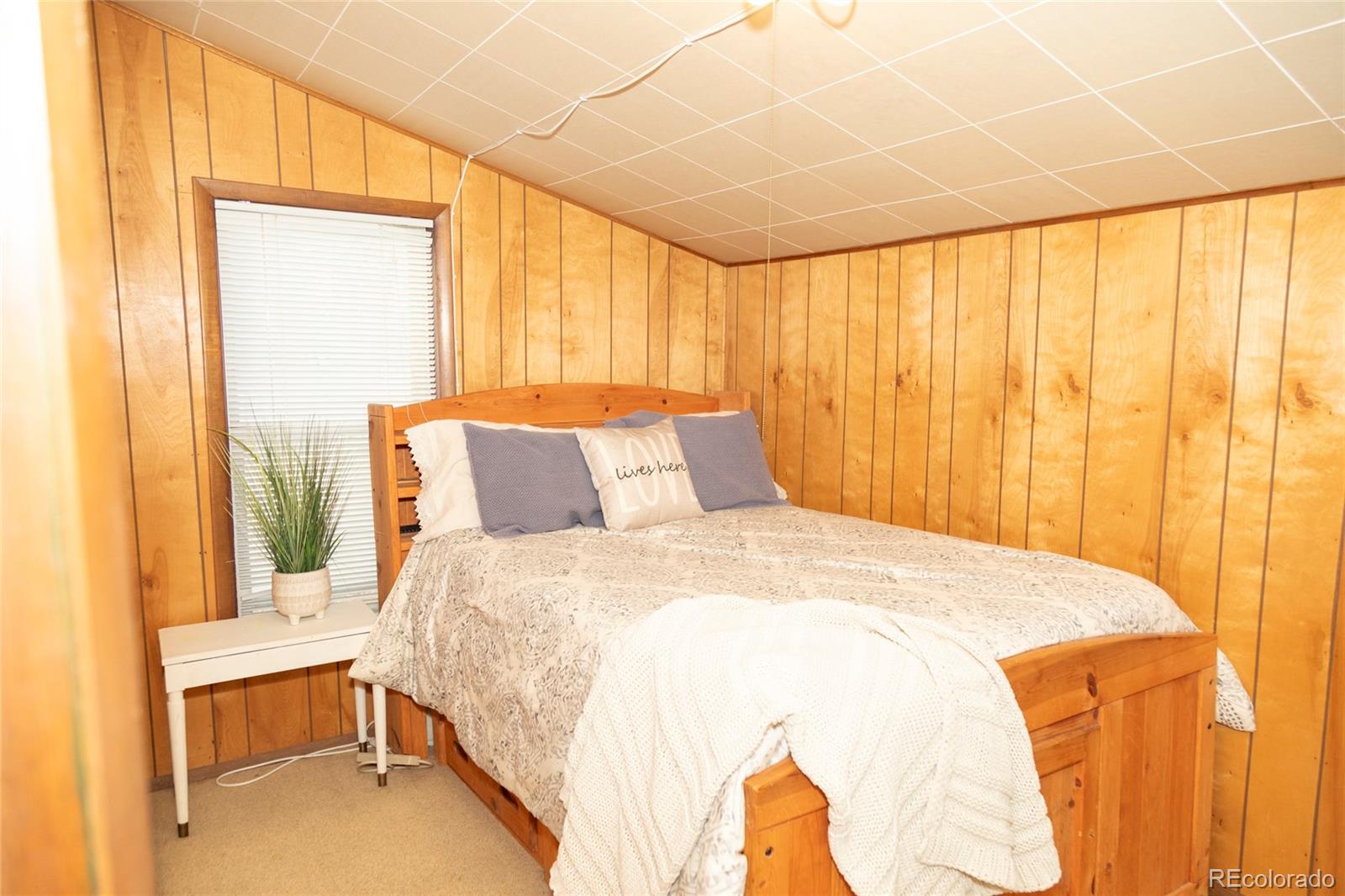 MLS Image #11 for 409  la garita street,creede, Colorado