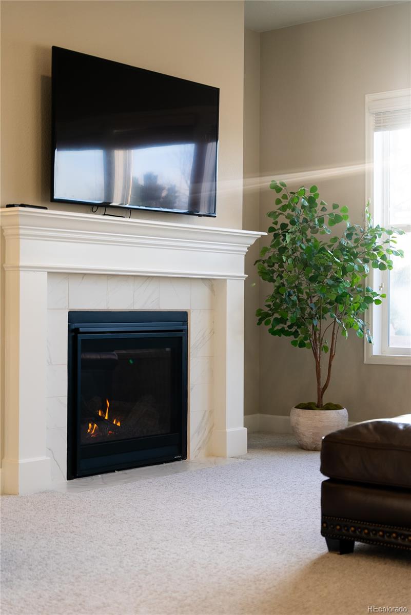 MLS Image #15 for 9587  kentwick circle,englewood, Colorado